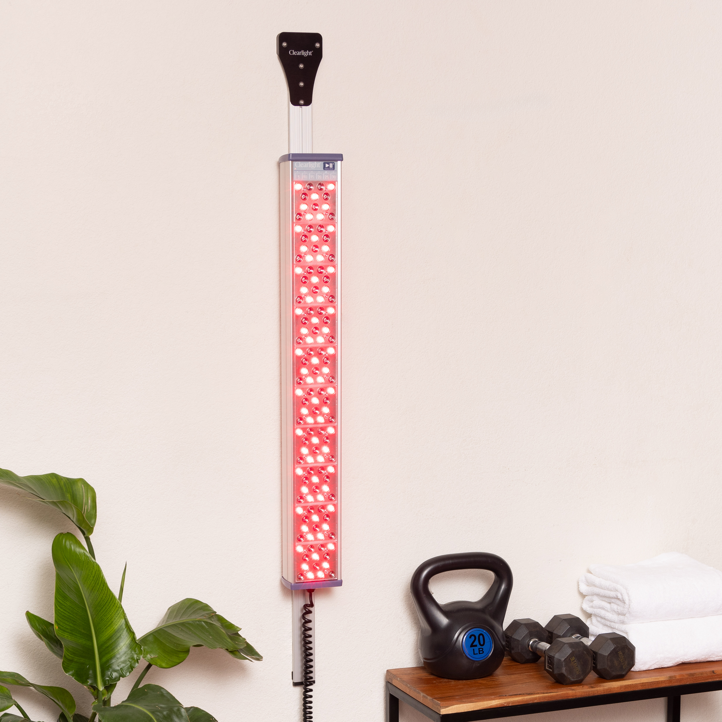 Adjustable Wall Mount